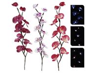 Resim Orchidee 65 cm mit 10 LED 3 fach sortiert, einzeln in Geschenkbox verpackt