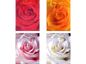 Resim Geschenkbeutel mittel (230 x 180 x 100 mm), mit farbiger Kordel in 4 Designs, Rosenmotive