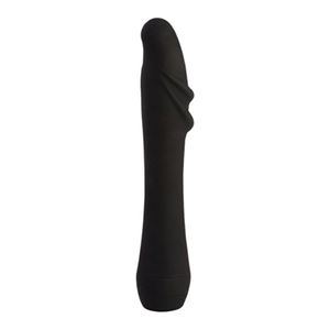 Immagine di Dr. Joel Kaplan 5 Function Prostate Stimulator