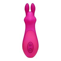 Resim Bunny Vibrator in Pink mit 10 Stufen