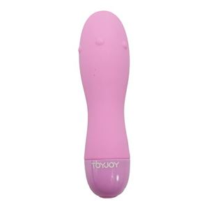 Immagine di Donna Vibrator in Pink