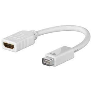 Bild von Adapter: Mini DVI Stecker auf HDMI-Buchse
