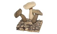 Resim 3 Pilze auf Holzrinde geschnitzt